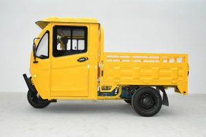 3 wheel adult new EEC electric tricycle cargo car 