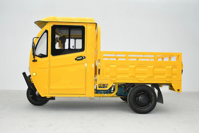 Cargo car adult 3 wheel new design electric tricycle 