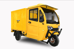 EEC 3 wheel cargo car electric tricycle for adult new design