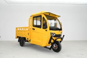 New design eec 3 wheel electric tricycle for adult cargo car 