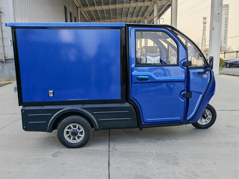 Adult hot sale enclosed 3 wheel electric tricycle electric cargo car 