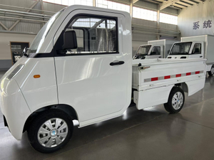 Hot sale for adult eec 4 wheel electric cargo car 