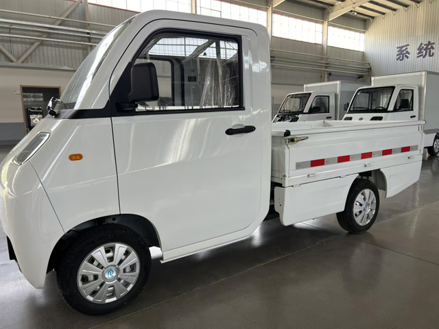 For adult new eec approved 4 wheel electric cargo car 