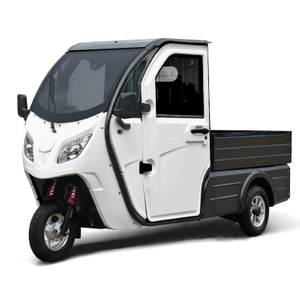 Adult enclosed eec electric cargo car 3 wheel electric trike 