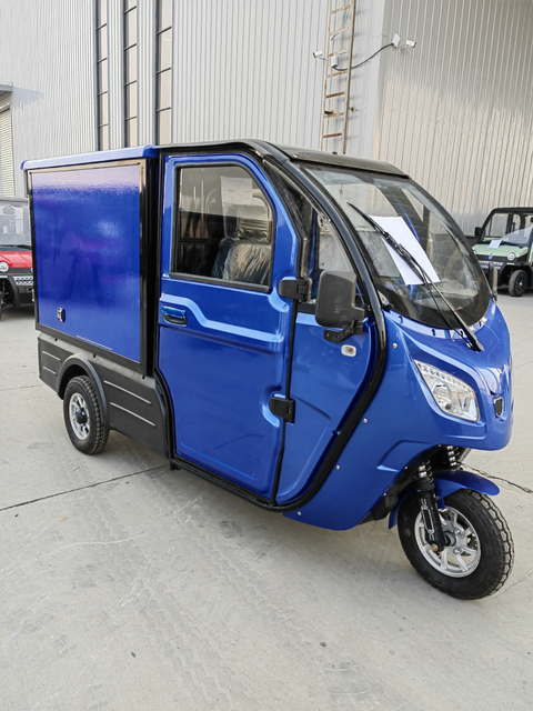 High quality eec popular enclosed adult electric cargo car 3 wheel electric trike 