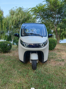 Passenger new eec enclosed 2200w cabin scooter 3 wheel electric trike for adult 