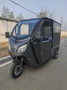 High quality enclosed eec approved electric cargo car for adult 3 wheel electric trike