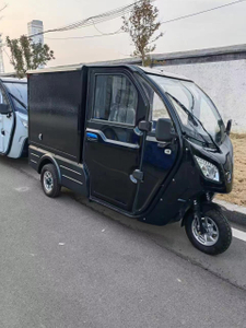 Hot eec enclosed 3 wheel electric trike for adult electric cargo car