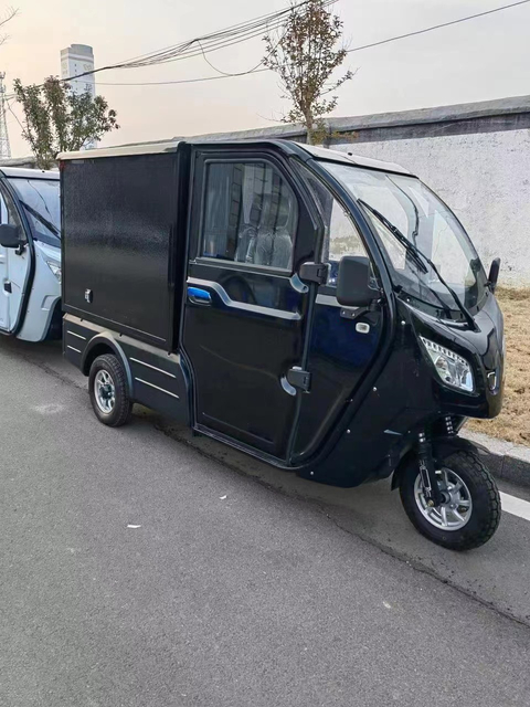 Adult eec enclosed cargo car 3 wheel electric trike 