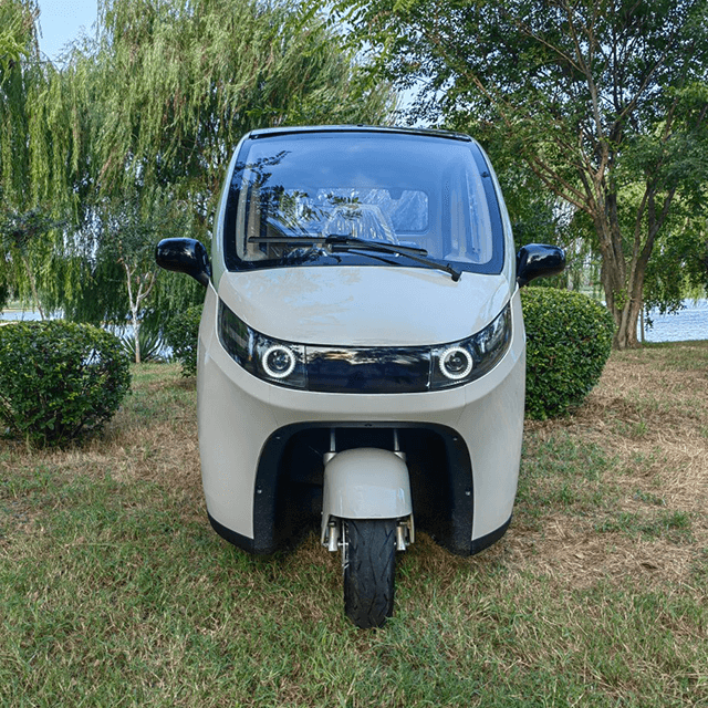 New model scooter high quality 2200w electric tricycle enclosed cabin scooter car