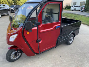 Adult enclosed eec 3 wheel electric trike electric cargo car 