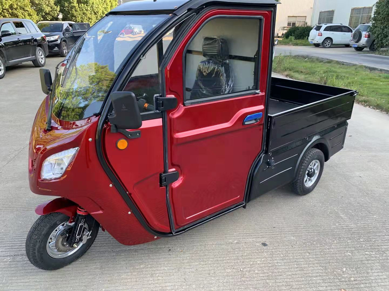Adult enclosed eec 3 wheel electric trike electric cargo car 