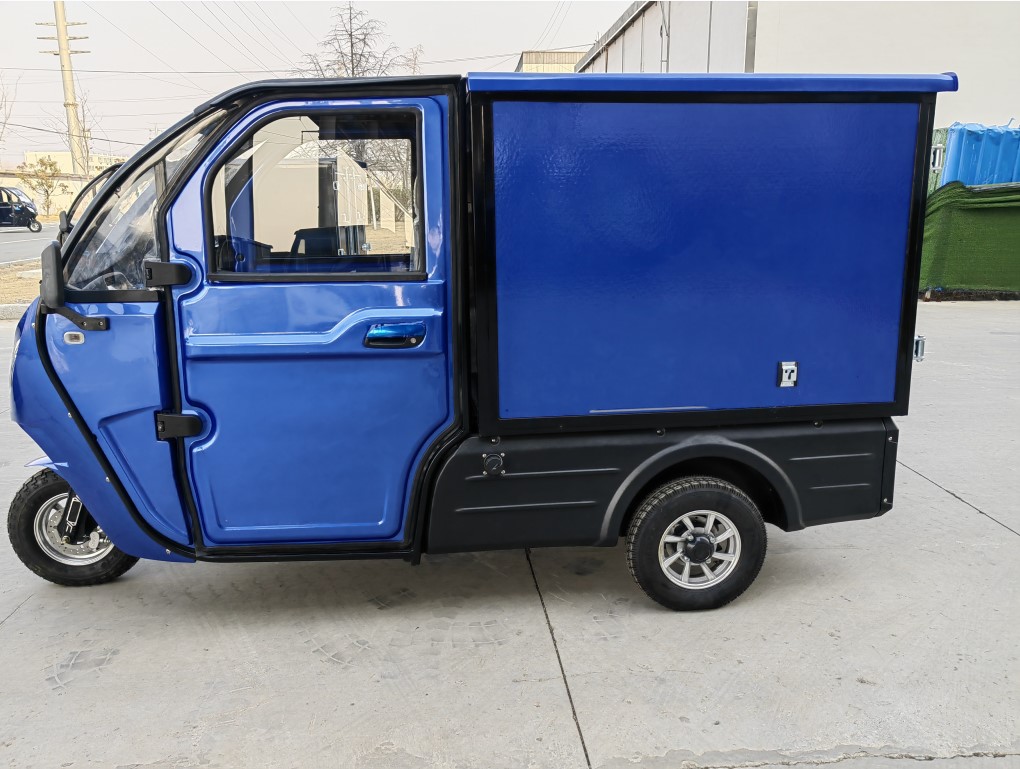 EEC coc adult enclosed hot 3 wheel electric trike electric cargo car 
