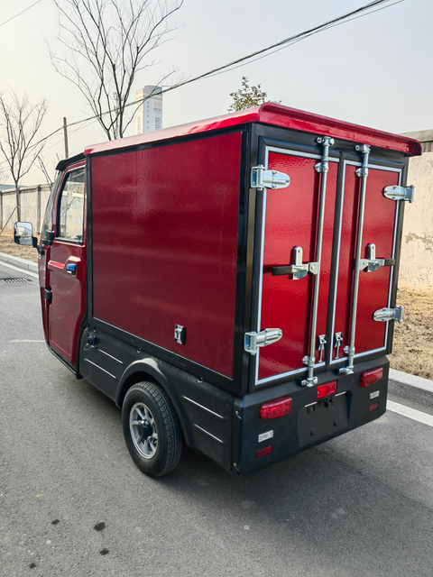 Adult enclosed eec 3 wheel electric trike electric cargo car 