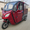 New cargo car 3 wheel enclosed electric trike for adult