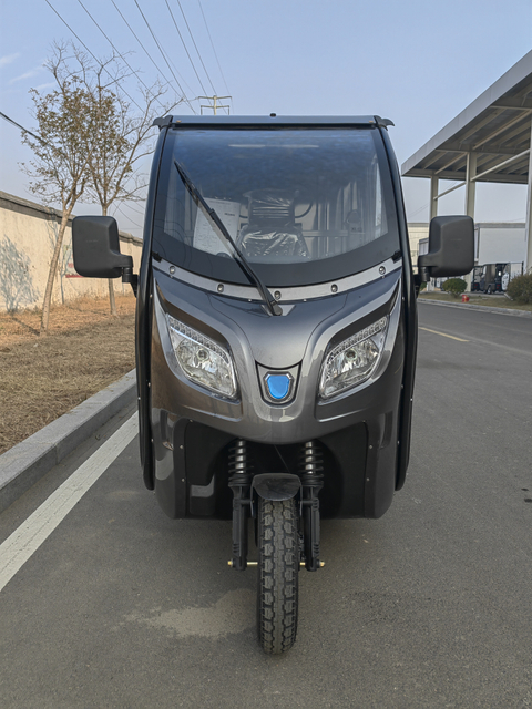 High quality enclosed eec approved electric cargo car for adult 3 wheel electric trike