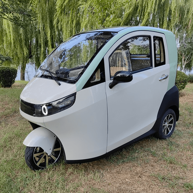 New model scooter high quality 2200w electric tricycle enclosed cabin scooter car