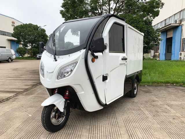 New eec coc adult enclosed electric cargo car 3 wheel electric trike