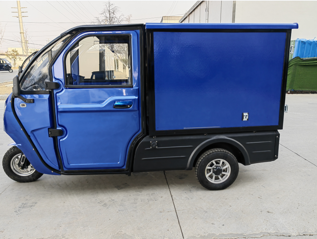 New eec coc enclosed 3 wheel electric trike electric cargo car for adult
