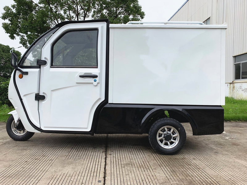 Popular eec coc 3 wheel enclosed electric tricycle for adult electric cargo car 