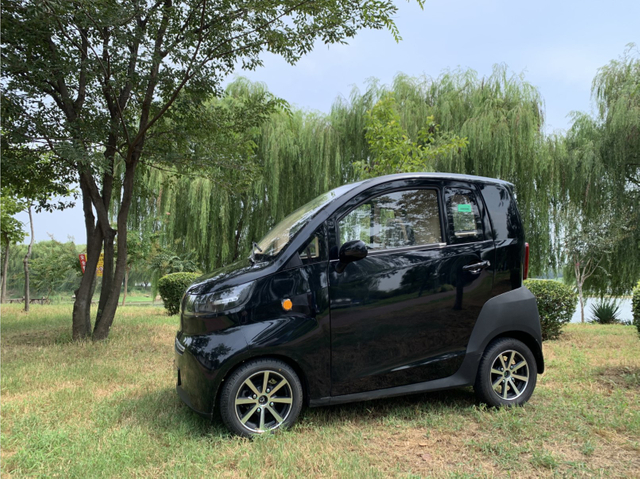 Enclosed passenger 4 wheel electric car for adult eec