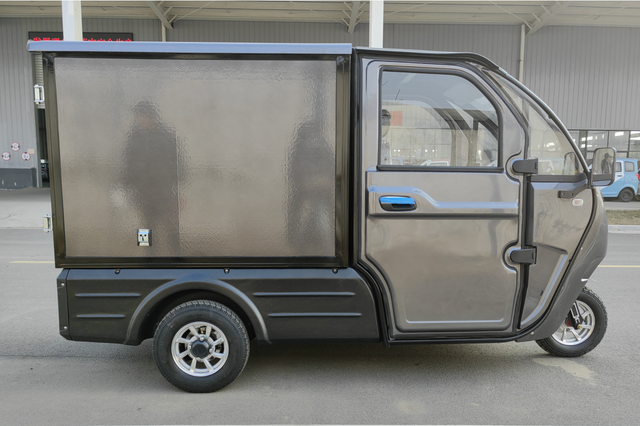 High quality enclosed cargo car 3 wheel electric trike for adult