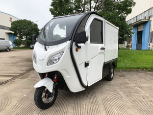 Hot cargo car enclosed cabin scooter 3 wheel electric tricycle 