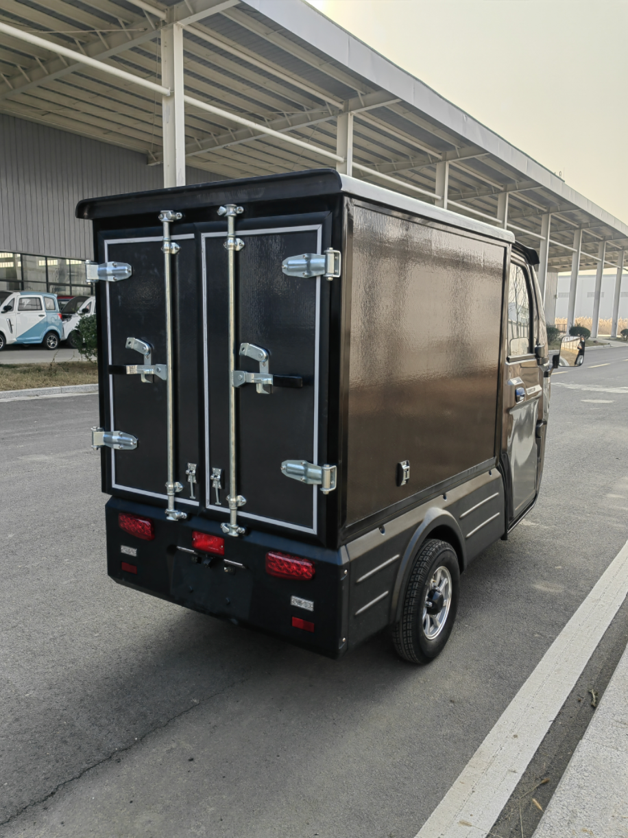High quality enclosed cargo car 3 wheel electric trike for adult