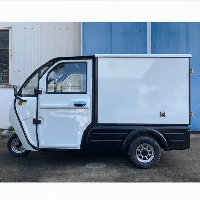 Enclosed eec new design electric cargo car for adult 3 wheel electric trike 