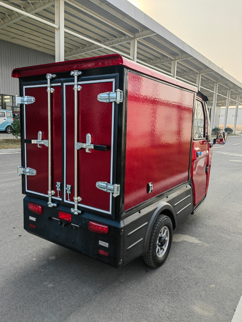 Adult enclosed eec electric cargo car 3 wheel electric trike 