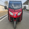 Cargo Car new 3 wheel enclosed electric trike for adult