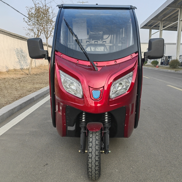 Cargo Car new 3 wheel enclosed electric trike for adult