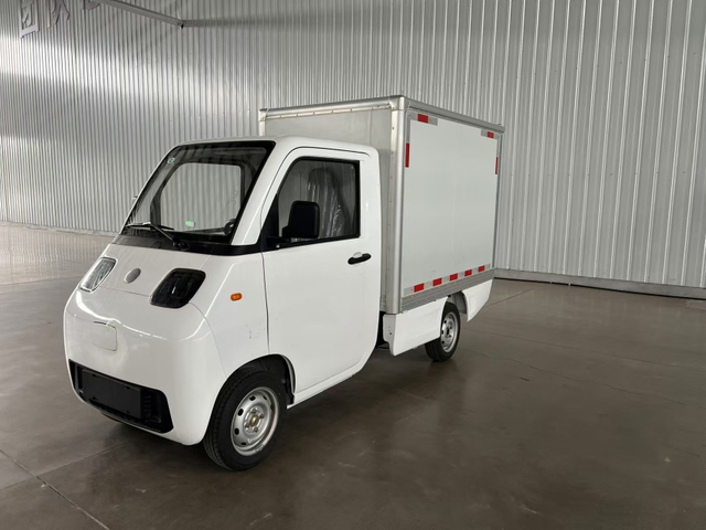 New 4 wheel electric cargo car for adult eec approved