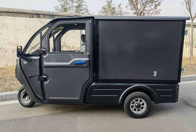 High quality enclosed cargo car 3 wheel electric trike for adult