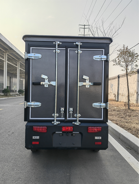 Enclosed eec coc hot sale 3 wheel electric trike electric cargo car for adult